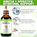 Probiotic for Cats, Natural 3 in 1 Cat Probiotic Drops Helps to Relieve Diarrhea, Supports Gut Health, Itchy Skin Relief, Allergies & Immunity, Digestive Enzyme Cat Supplement Drops - 60 ml / 2 fl.oz