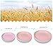 shopwithgreen Wheat Plastic Reusable Dinner Plates, Camping Outdoor Plates Sets, for Kitchen, Dorm Room, Microwave Dishwasher Safe, Unbreakable and Lightweight, 10 Inch, 4 PCS