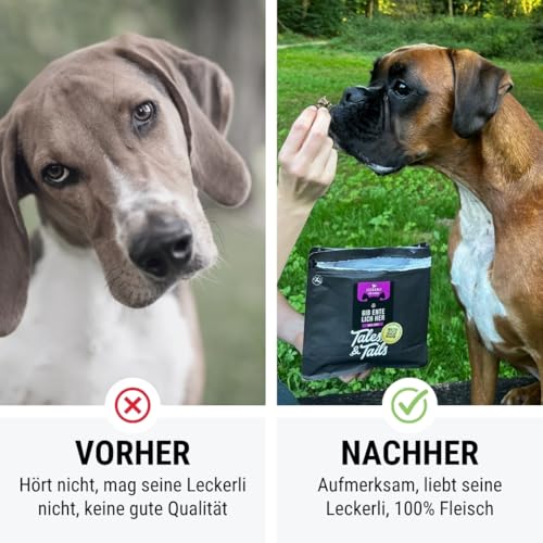 Tales & Tails Leckerli für Hunde, 100% Ente, 250g Tüte