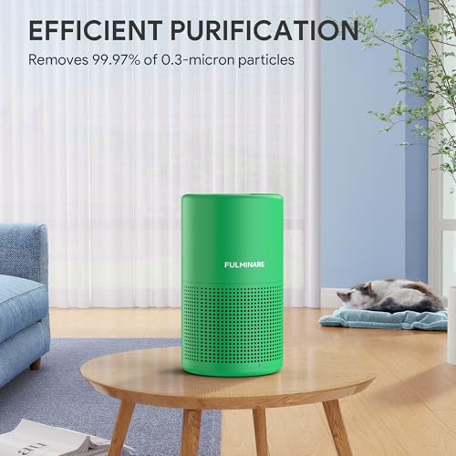 Image of FULMINARE Air Purifiers for Home Bedroom H13 HEPA Air Filter | 360 Intake for Pet Hair, Smoke, Odors , 3 Speeds, Timer, 24dB, Small Mini Air Purifier with Night Light, Mint Green