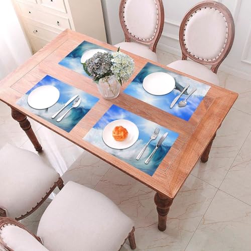Sets de table tissés extérieurs et intérieurs dauphin pour repas