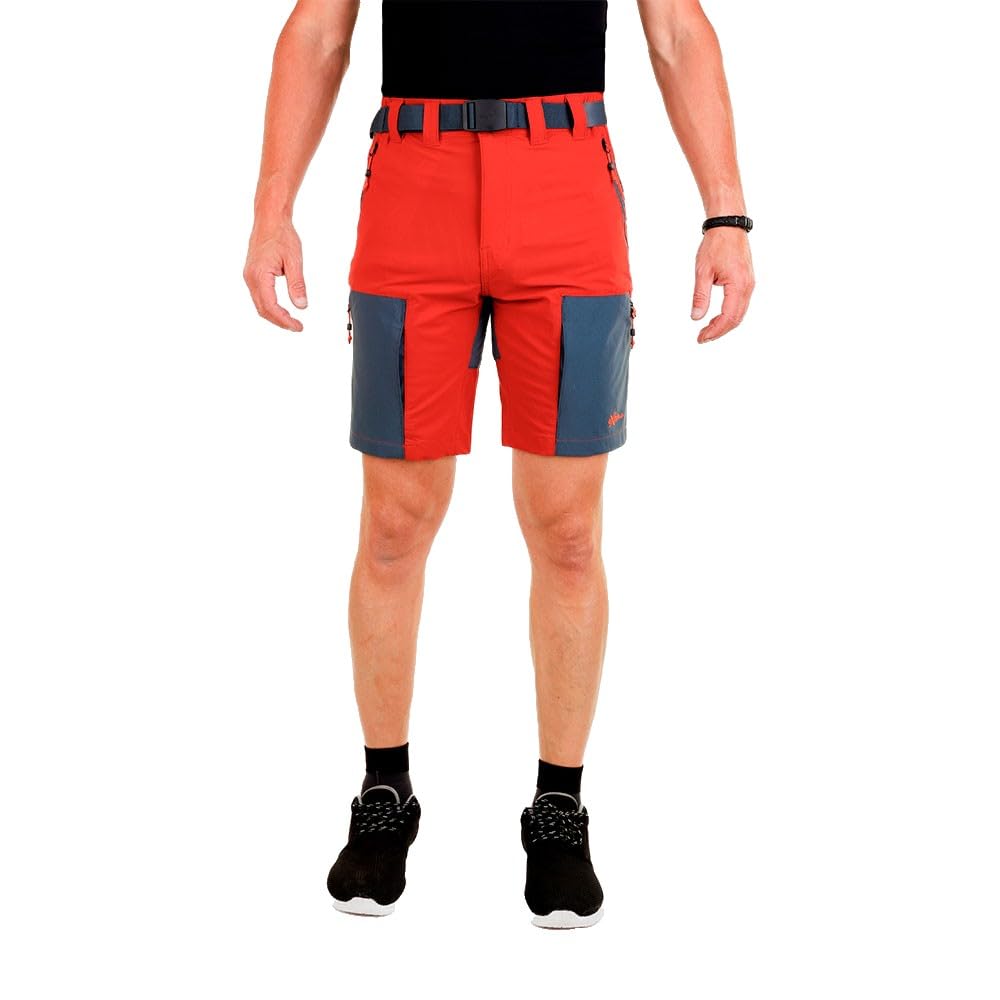 NEWWOOD Horse Shorts 42