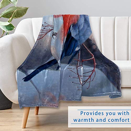 Couverture douce et chaude 150x100 cm pour lit et canapé