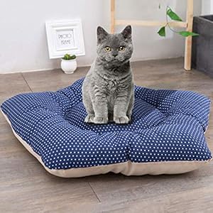 Pet Teepee Dog & Cat Bed with Cushion- Portable Luxery Pet Tents & Houses with Cushion & Blackboard (Airplane) Pet Teepee Dog Cat Bed with Cushion Portable Luxery Pet Tents Houses with Cushion Blackboard Airplane