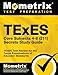 TExES Core Subjects 4-8 (211) Secrets Study Guide: TExES Test Review for the Texas Examinations of Educator Standards