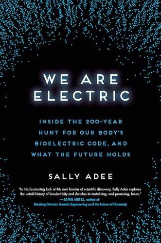 We Are Electric view 2