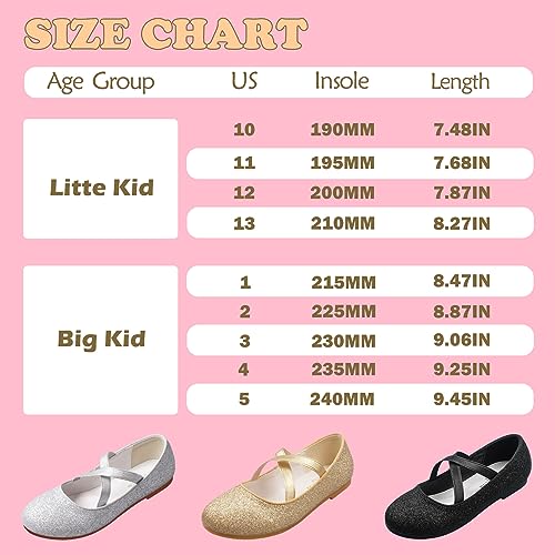 Zgdg Girls Flat Dress Shoes Ballet Shoes,Glitter Mary Jane Flats Wedding Party Ballerinas With Elastic Strap For Little/Big Kid Silver thumb #5