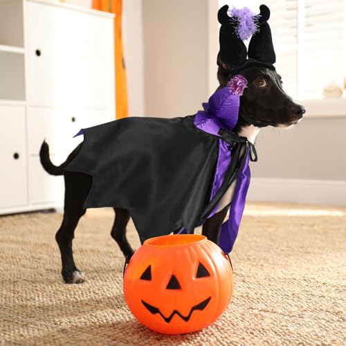 Disfraz Halloween para perros y gatos Hechicera 2 piezas miniatura 2