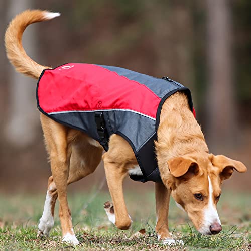 EzyDog Element Best Dog Jacket – Premium Wind and Waterproof Reflective Dog Coat for Safety and Protection – Provides Leash Access to Harness or Collar (Scarlett, Small) EzyDog Element Best Dog Jacket – Premium Wind and Waterproof Reflective Dog Coat for Safety and Protection – Provides Leash Access to Harness or Collar (Scarlett, Small)