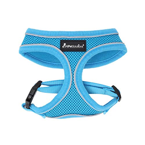 All Pet Solutions - Arnés para Perro/Cachorro, Color Azul, Talla XL