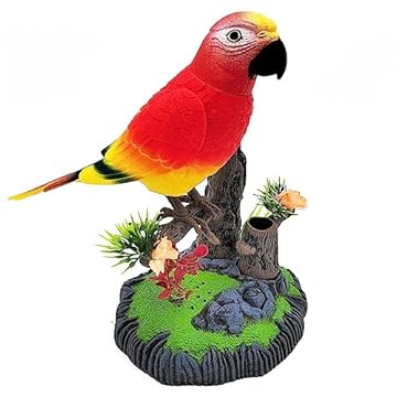 Bird Toy for Red Bellied Parrot: Which One Will Captivate Your Pet? 2 bird toy for red bellied parrot