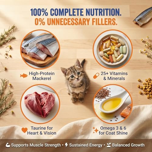 Image of Petcrux Dry Kitten Cat Food, Mackerel Fish Flavor, with Omega 3 & 6 and Taurine, Complete & Balanced Nutrition for Growing Kittens, Trial Pack 50 g