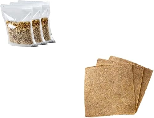 Kit de cultivo de hierba para gatos, semillas orgánicas, tapetes de cultivo de yute, contenedor de cultivo de 10 x 10 pulgadas, ideal para gatos de