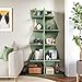 LITTLE TREE Small Corner Shelf, Modern 5-Tier Wall Corner Bookshelf, Stylish Bookcase Storage Rack for Small Space, Living Room, Bedroom