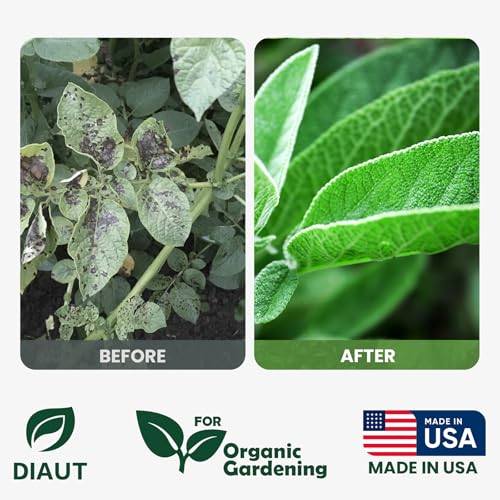 Image of Neem Oil Spray for Plants with Peppermint Oil, Easy Ready to Use Natural Plant Wash and Foliage Care for Indoor and Outdoor Plants, Gardens, Houseplants & Vegetables, 16 oz