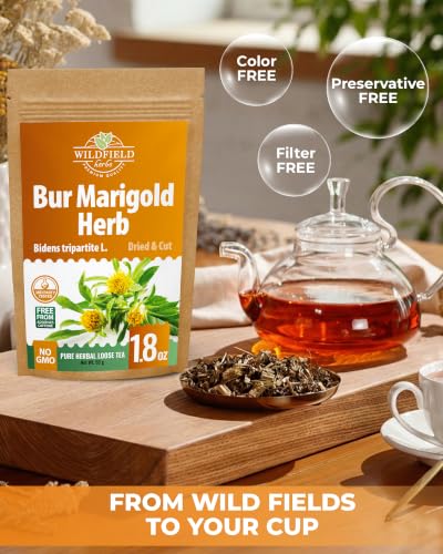 1.8 oz. Dried Marigold Flowers Bur Marigold Herb Tea Marygold Tea (Bidens Tripartite L.) - 50g 100% Chereda Bur-Marigold Cáñamo Acuático - image 5