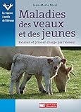 FRANCE AGRICOLE