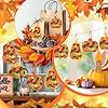 Whaline 24 Sets Fall Pumpkin Suncatcher Crafts Kit Thanksgiving DIY Pumpkin Tissue Paper Crafts Autumn Harvest Suncatchers Decor Window Craft for Halloween Home Party Favors Classroom Fun Activities #3