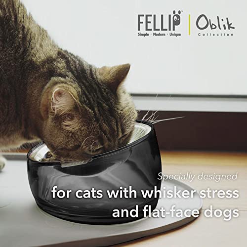 Image of Felli Pet Oblik Whisker Fatigue Friendly & Anti Vomit Elevated Cat Food Water Bowl Stainless Steel Tilted Shallow Dish, Slanted Angled Metal Plate Dry Wet Feeder, Raised Acrylic Base (0.5 Cups, Smoky)