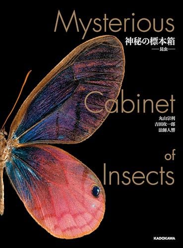 神秘の標本箱　‐昆虫‐ (角川書店単行本)