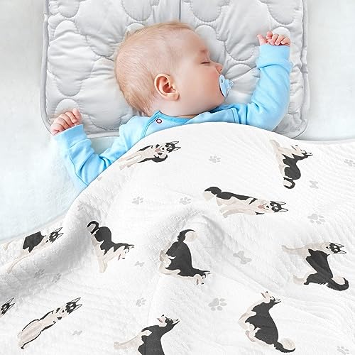 Image of Swaddle Blanket for Cute Dogs Siberian Husky Baby Receiving Blanket Muslin Baby Swaddles Soft Cotton Breathable Nursery Blankets for Unisex Boys and Girls 30x40 Inch