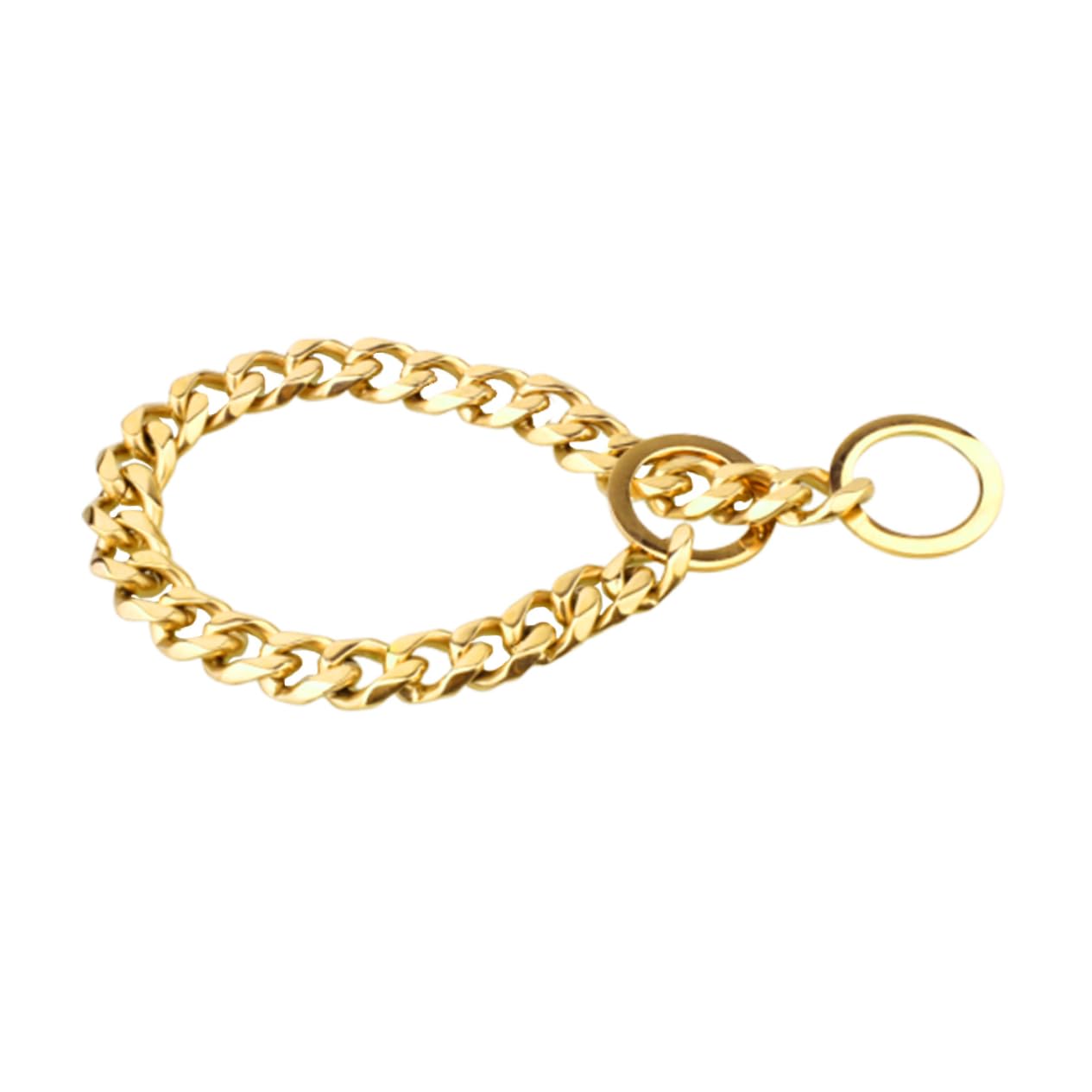 Collier solide pour grand chien en acier inoxydable 316L anti-rouille de qualité
