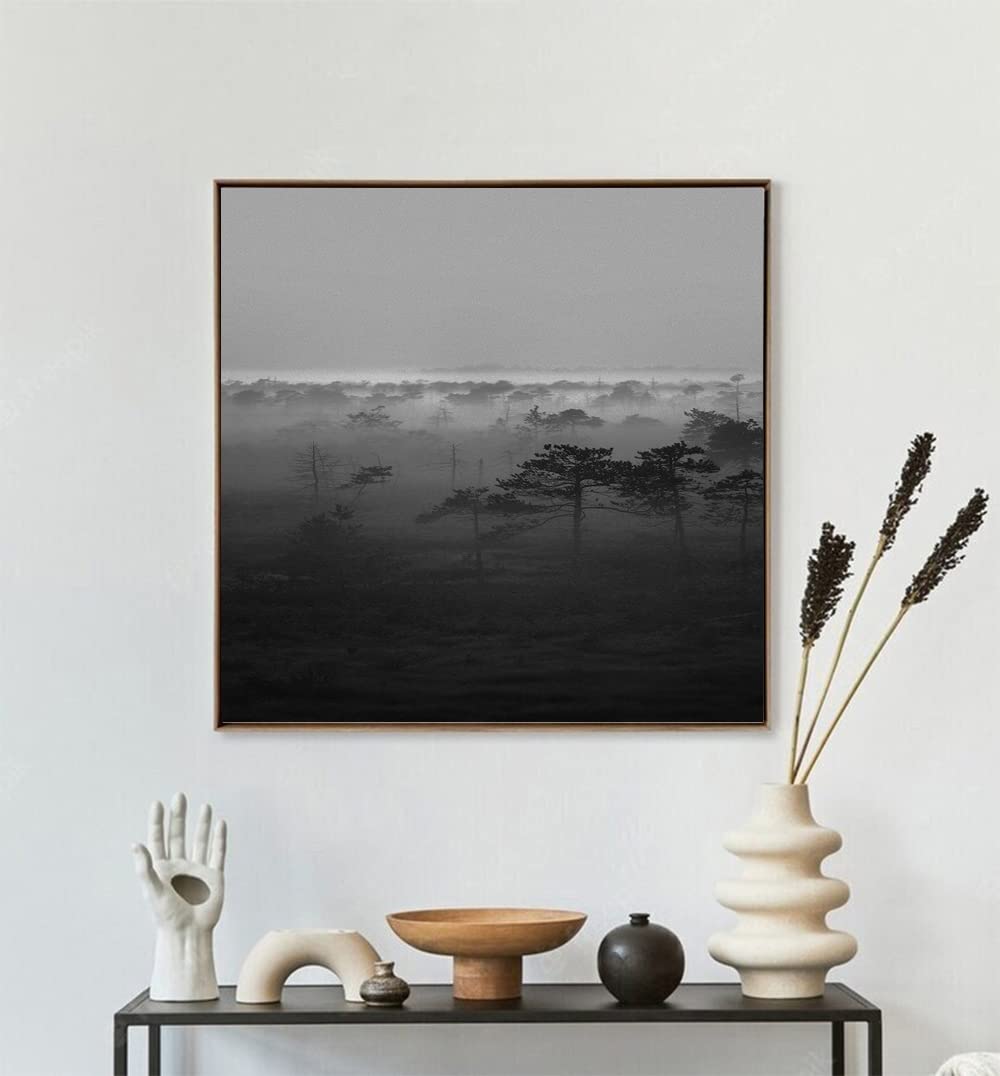 VERRE ART Printed Framed Canvas Painting for Home Decor Office Wall Studio Wall Living Room Decoration (14x14inch Wooden Floater) - Black White Misty Woods