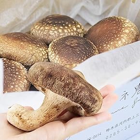 生椎茸 - Amazon.co.jp