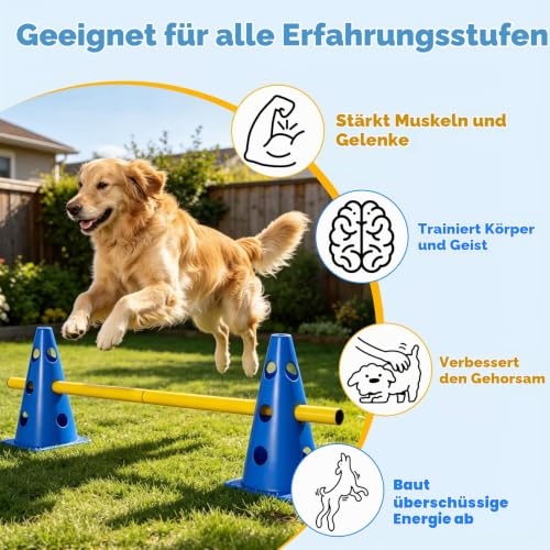 Trukafie 8er Agility Set Hunde Cavaletti Hund Hobby Horse Hindernisse