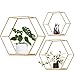 Juego de 3 estantes de Pared hexagonales de Metal, Estantes de Almacenamiento de Metal Flotante para Cocina, Baño, Sala de Estar, Dormitorio, Oficina (Oro)