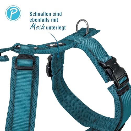 Petlando Hundegeschirr Mesh Y-Comfort – weich gepolstert, stufenlos verstellbar, besonders leicht und atmungsaktiv, fellschonend, ergonomisch – L, Petrol
