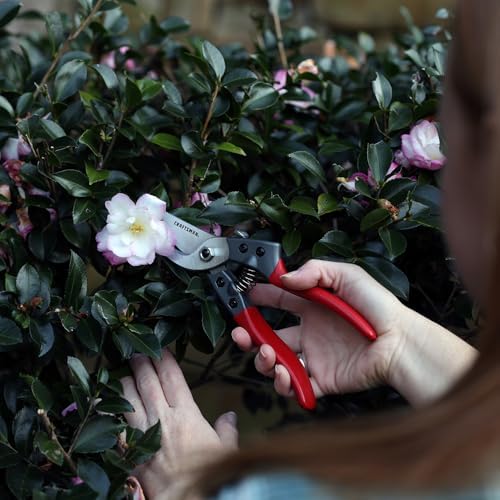 Craftsman 3/4-in. Manual Aluminum Bypass Hand Pruner for Cutting, Trimming Branches, Shaping Rose Bushes - Thumbnail 4