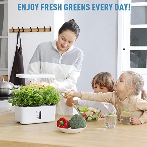 51pcs Seed Pod Kit for Indoor Garden Hydroponics Growing System Z223 Z229 - Grow Anything Kit with 12 Grow sponges 12 Grow Baskets 12 Grow Domes 12 Tags A&B Solid Nutrient