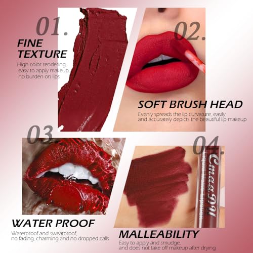 Image of evpct 1Pcs Wine Red Liquid Matte Lipstick Lipgloss Set for Women, labiales mate 24 horas originales matte larga duracion 24 Hour Lipstick Lip Stains Long Lasting Waterproof 24, 17#