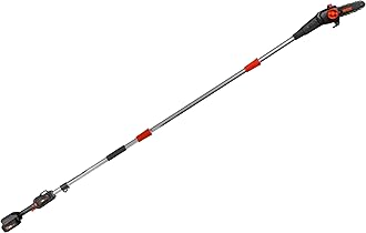 20V Max Cordless 8-Inch Pole Saw with 14.5-Foot Reach, 4Ah Battery, and Charger (20719)