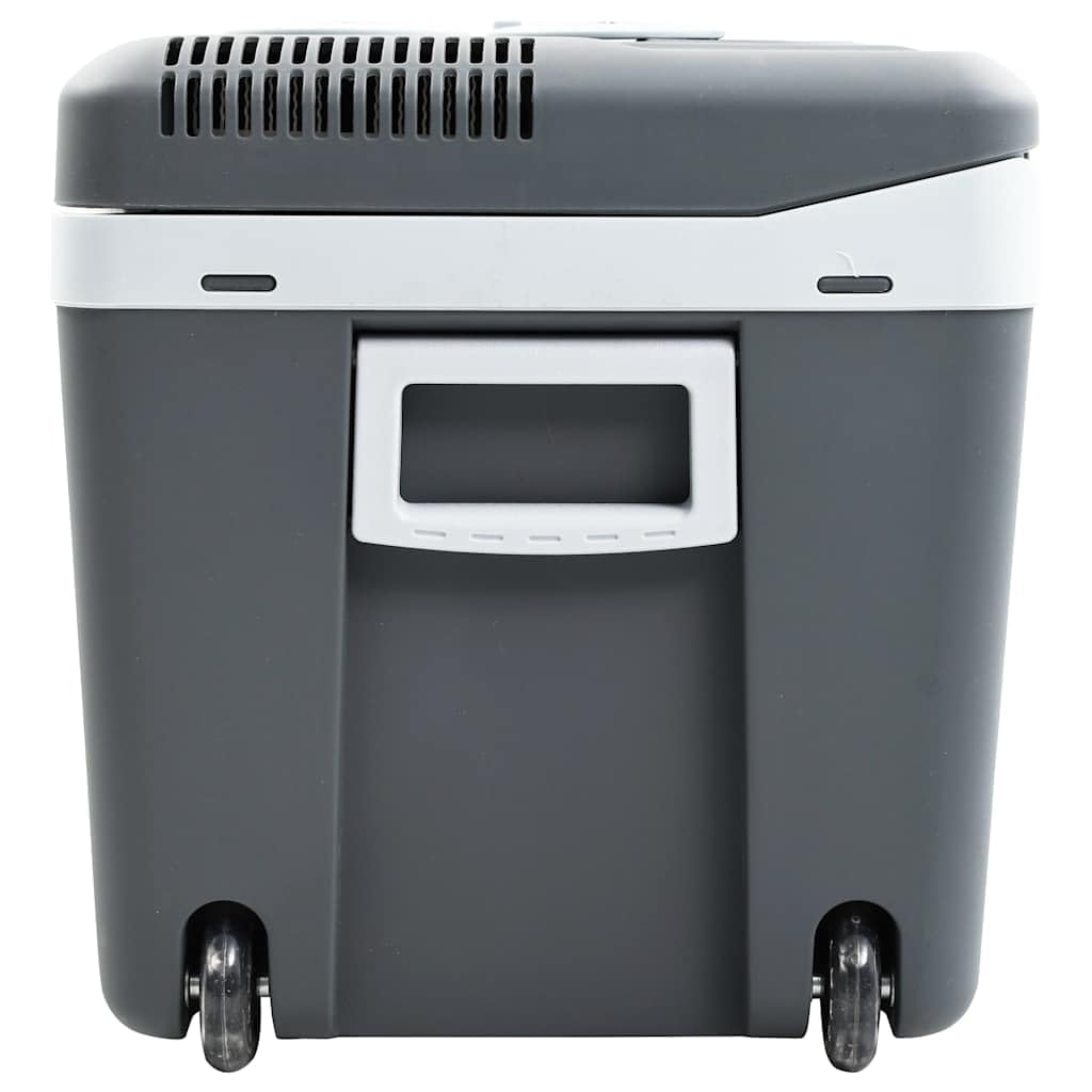 vidaXL Glacière Portable thermoélectrique 40 L 12 V 230 V E