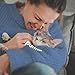 Adams Plus Flea & Tick Shampoo with Precor for Cats, Kittens, Dogs & Puppies Over 12 Weeks Of Age Sensitive Skin Flea Treatment | Kills Adult Fleas, Flea Eggs, Ticks, and Lice| 12 Ounces