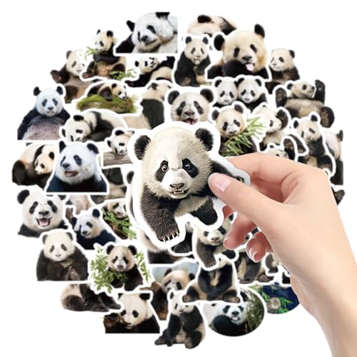 Amaxiu Pacote de 50 lindos autocolantes de panda, vinil impermeável, estéticos autocolantes decorativos de desenhos animados para amantes de bandas, garrafa de água, telefone, computador portátil