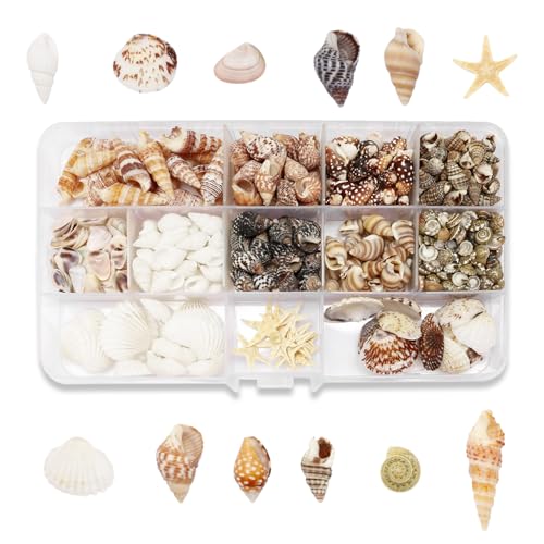 425 Stück Muscheln Gemischt, 11 Arten Ozean Muscheln und 2 Arten Seesterne 0.5-2cm, Mini Starfis für Malerei Kunst, Vase Füllstoffe, Strand Thema...