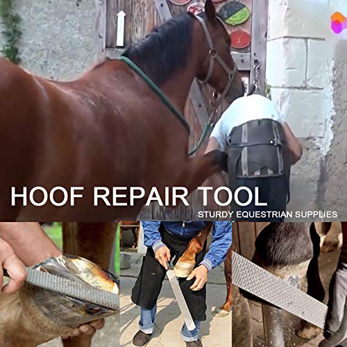 JDBLGJD Professional Farrier Tool Kits Hoof rasp hoof Nippers hoof