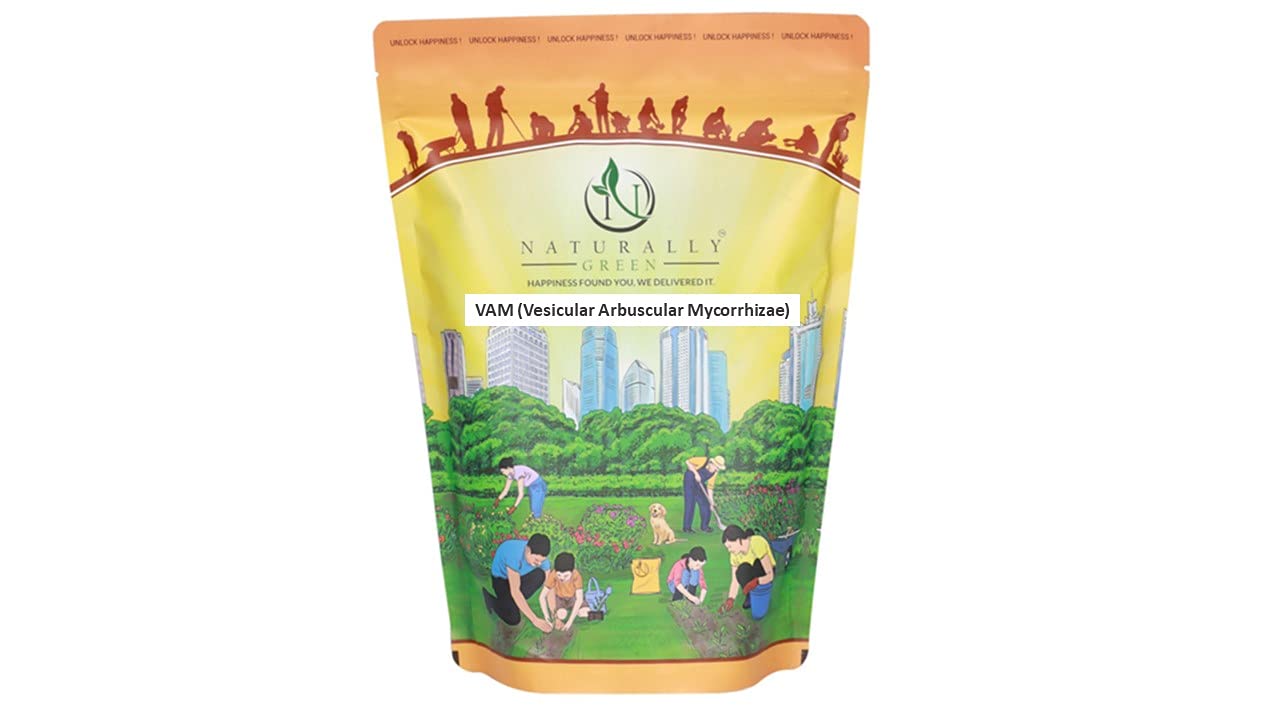 Naturally Green VAM (Vasicular Arbuscular Mycorrhizae) Bio Fertilizer & Root Growth Booster Powder 1kg (B0914TTRZS) Amazon Price History, Amazon Price Tracker