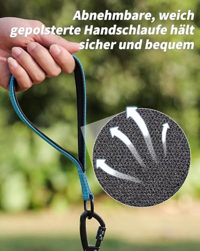Joytale Schleppleine 5m-20m für Hunde, Reflektierend, Gepolsterter Griff, Abschließbarer Karabiner (Blau, 5m)