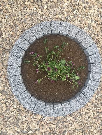 Garden Granite Circle Tree Surround Grass Border Paving Slab Stone Concrete Water Feature (180, Light Grey)
