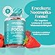 Focus Gummibärchen - mit Koffein, Ginkgo Biloba, Löwenmähne, Ginseng, B12, Probiotikum, L Theanin - 17 Vitamine für Fokus, Energie & Konzentration - Nootropisches Gehirnsupplement - Vegan - Novomins