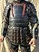 HISTORIC HANDICRAFT Medieval Armor Wearable Japanese Jacket with Armor Shoulder Pauldron & Arm Guard Set Samurai Armor Costume SCA LARP