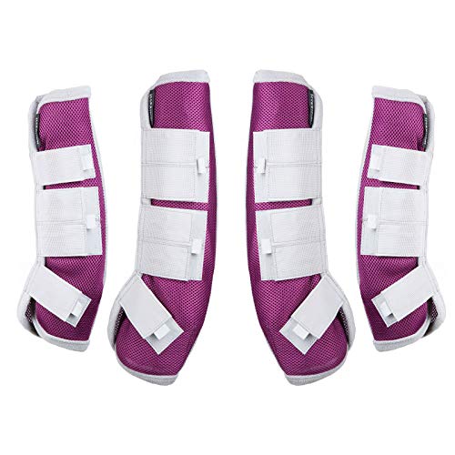 Image of Harrison Howard Horse Fly Boots Leg Guards Fly Boots Protection Set of 4 Amethyst Large Full Size