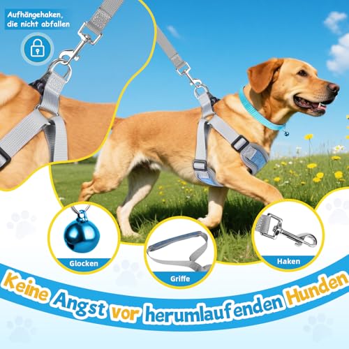 3 Stück Hundegeschirr und Leine Set, Verstellbares Brustgeschirr, Reflektierendes atmungsaktives Hundegeschirr mit D-Ring, Hundegeschirrs Set für Welpen, Kleine Hunde