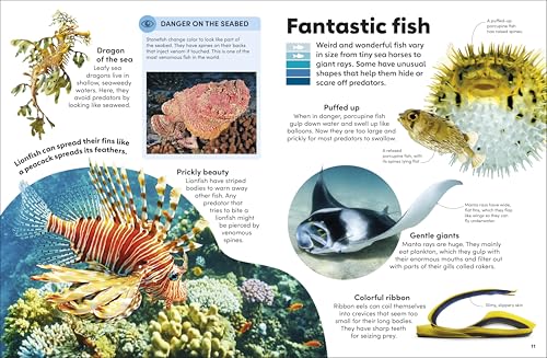 Eyewonder Oceans: Open Your Eyes to a World of Discovery - Image 2