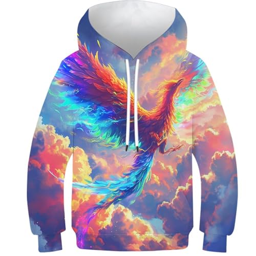 Sweat à capuche Le Phoenix vêtement hiver ado 10-12 ans fille garçon