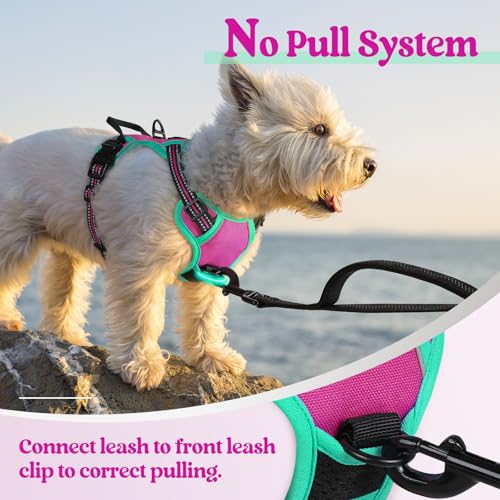 Image of rabbitgoo Dog Harness No Pull with 2 Leash Clips, Adjustable Soft Padded, Reflective Oxford No Choke Pet Vest with Easy Control Handle for Large Dogs, Hot Pink & Turquoise, XS